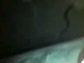 干了6年的炮友，精彩继续中