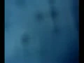 车震小少妇很刺激是水多