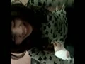 90後女友口交