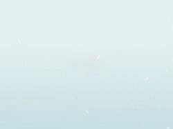 成都武侯区路边鸡手势认证