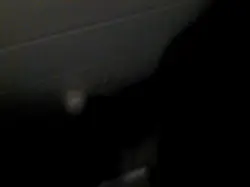 天津女，在电影院的女卫生间里口