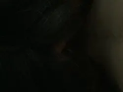 成都大屌哥哥插少妇，狂喊快操我不要停，有手势验证