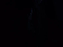 3P重庆熟女