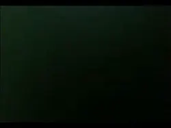 七夕车震模特人妻