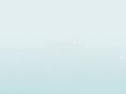 情人节刚刚的