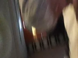 炮友愛舔我屁眼