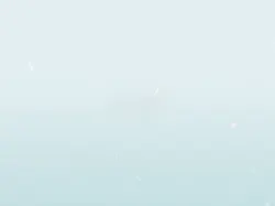 60老女洗白白