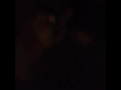 外出遛狗