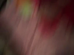 找老鸡