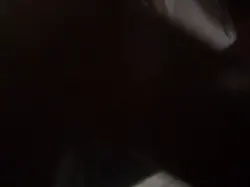 绿妻大家心里明白