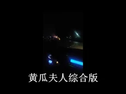 黄瓜夫人综合版