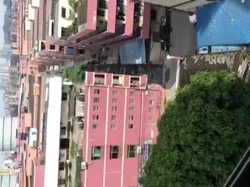 女er在阳台用黄瓜插骚逼插出尿尿