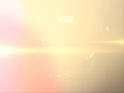 山东临沂沂水小姐无套内射