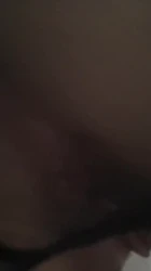 小母狗求操
