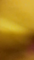 感谢91小姐姐一起魔都