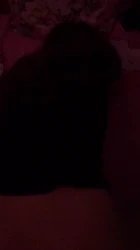 零零后小妞儿可爽了我了