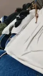 足疗养生技师