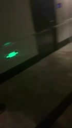 （上海苏州）凌晨3点的酒店