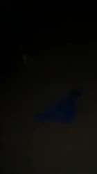 邹平