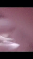 可爱小猫咪