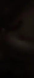 人妻骚逼喂不饱