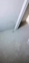 删除