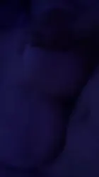 一天天的造作啊