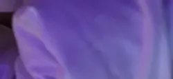 干爆