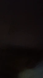山东东营西城猫街4