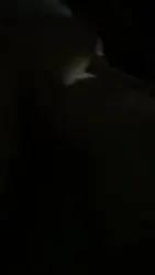 杭州喝茶后续女主