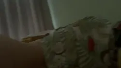 青春纪念日2