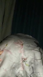 旗袍丝袜