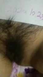 验证发原创视频
