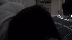 00后的小骚货