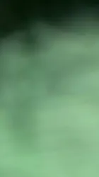 无套操上高潮白浆流了一屁股