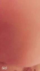 舔菊花