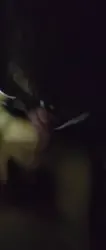 在宁波打工安徽少妇在车里满足的口着大几吧