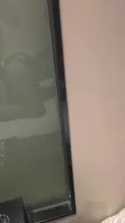 大屁股就要狠狠的操