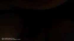 宾馆艹少妇