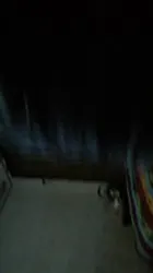 干了一个白虎老逼