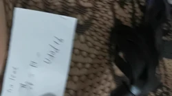 好粗 好大 受不了 有对白淫荡娇妻