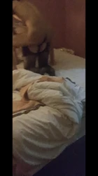 男的射了，给我媳妇弄得属实太猛了