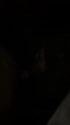 姐姐帮我口交2