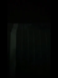 年轻追求的就是刺激。私人影院干00小骚货