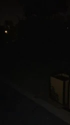 夜逛小公园给钓鱼的大叔撞见了