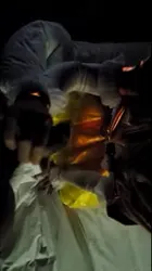 LLSS 水族馆 口交
