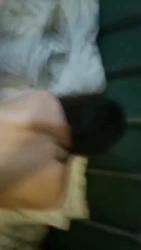 后入邯郸大学生母狗