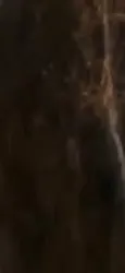 淫妇喜欢前后夹击，叫床