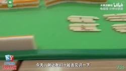 [付费] 水果派解说001--看懂av的每个细节