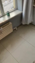 厨房干女友 爽翻(必看！超骚)
